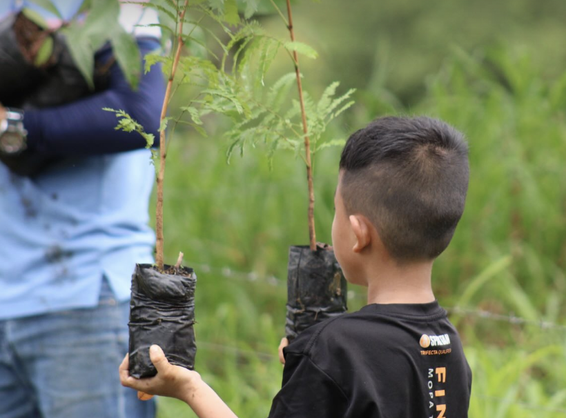 Reforestación con voluntariado