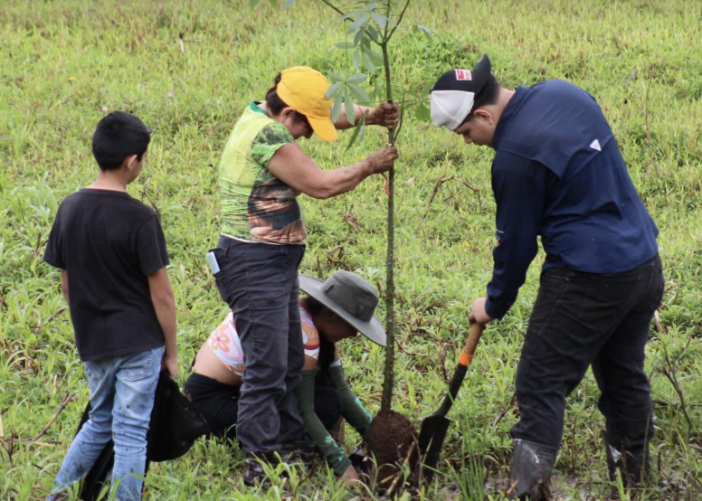 Jornada de reforestación con voluntariado
